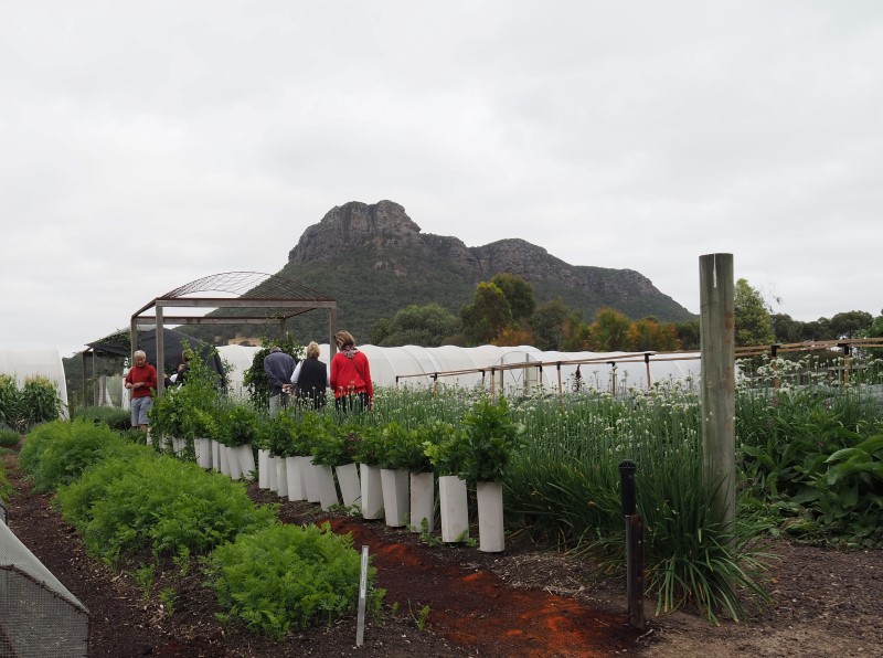 Guests enjoying the tour of the vegetable garden at the Royal Mail Hotel