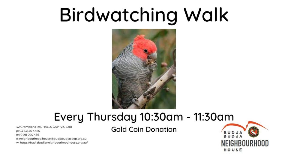 Birdwatching Walk Halls Gap Lakeside