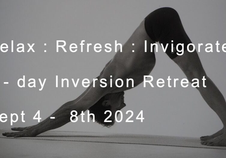 Inversion Yoga Retreat 169